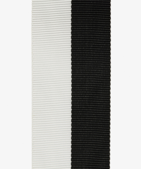 Freikorps, Oberschlesisches Verdienstkreuz 2. Klasse, Medaille Siedlungsverband Kurland (26)